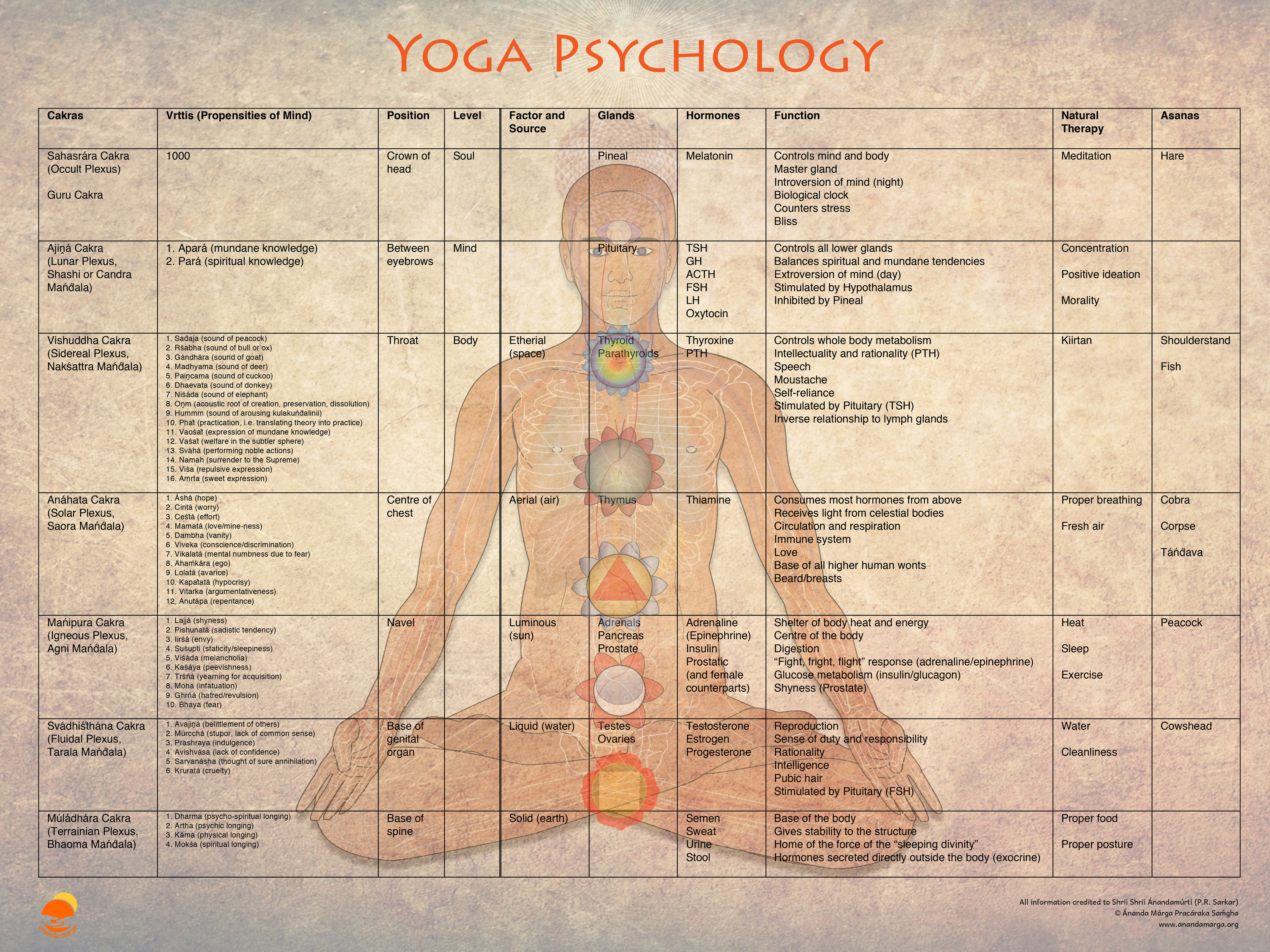 Structural Yoga Therapy Charts